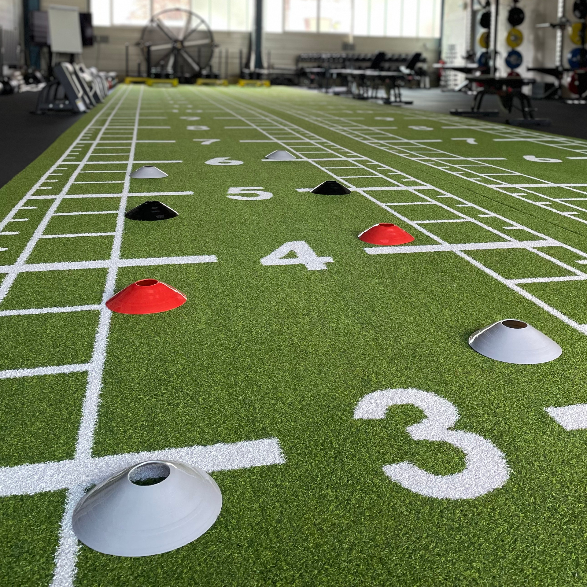 PB Agility Cones PB Agility Cones