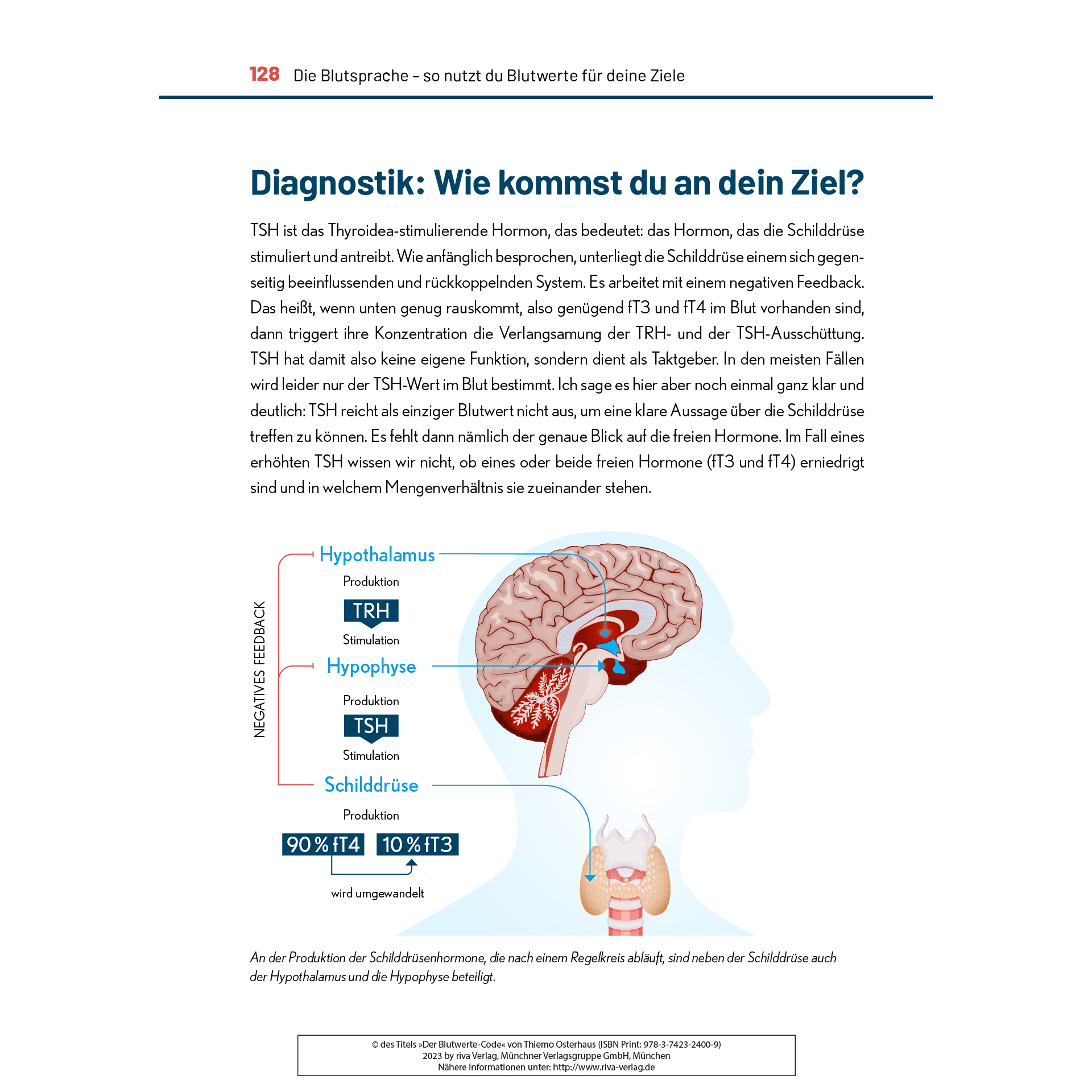 Der Blutwerte-Code (Buch) Der Blutwerte-Code (Buch)