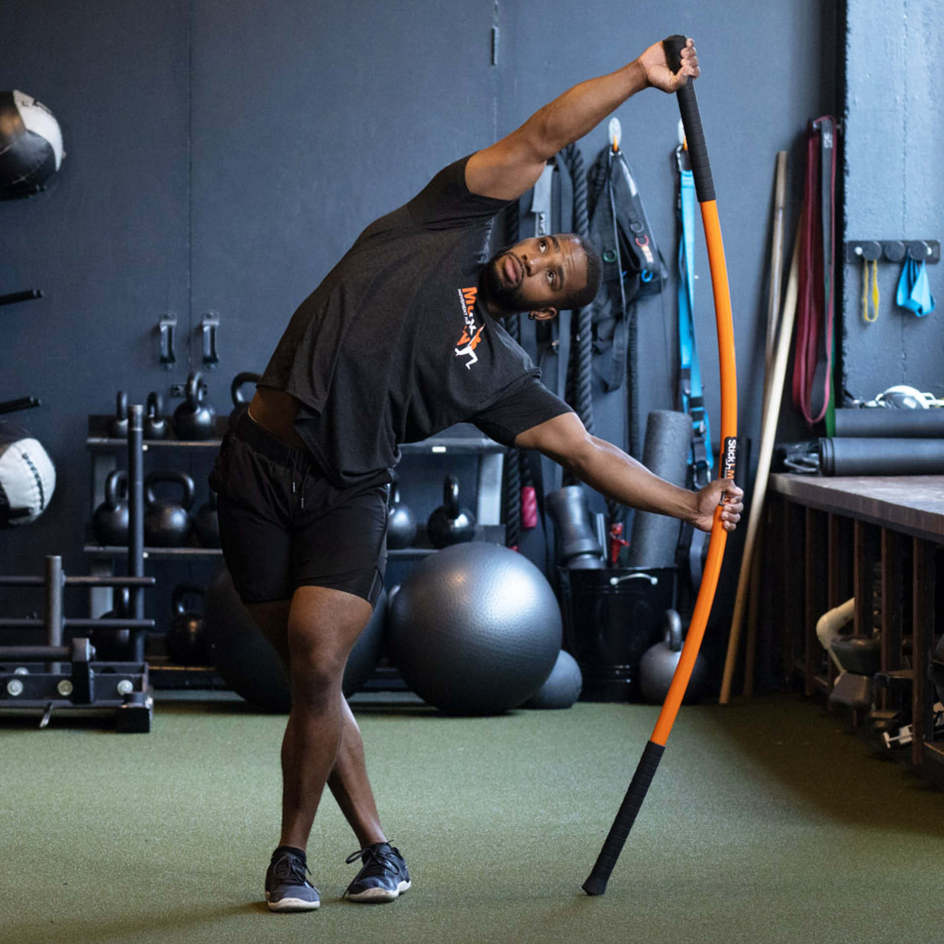 Mobility Stick