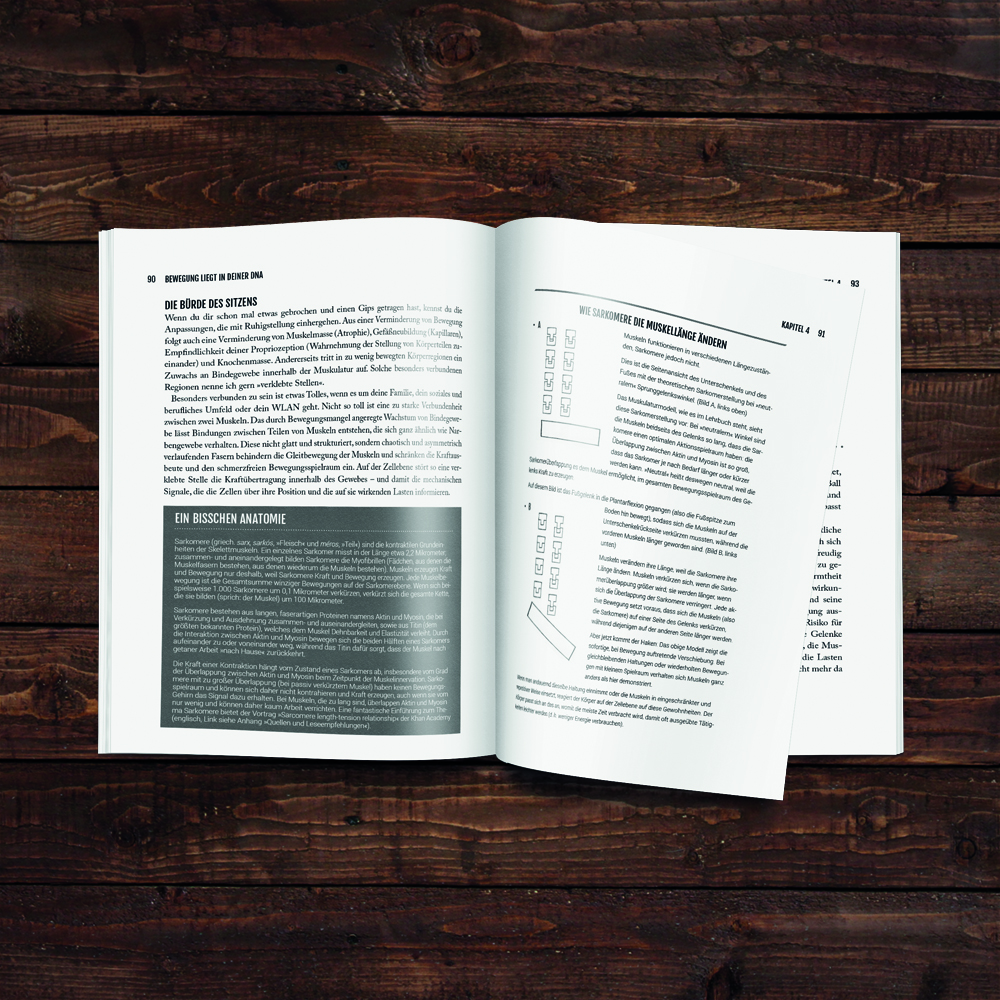 Bewegung liegt in deiner DNA (Buch)  Bewegung liegt in deiner DNA (Buch)